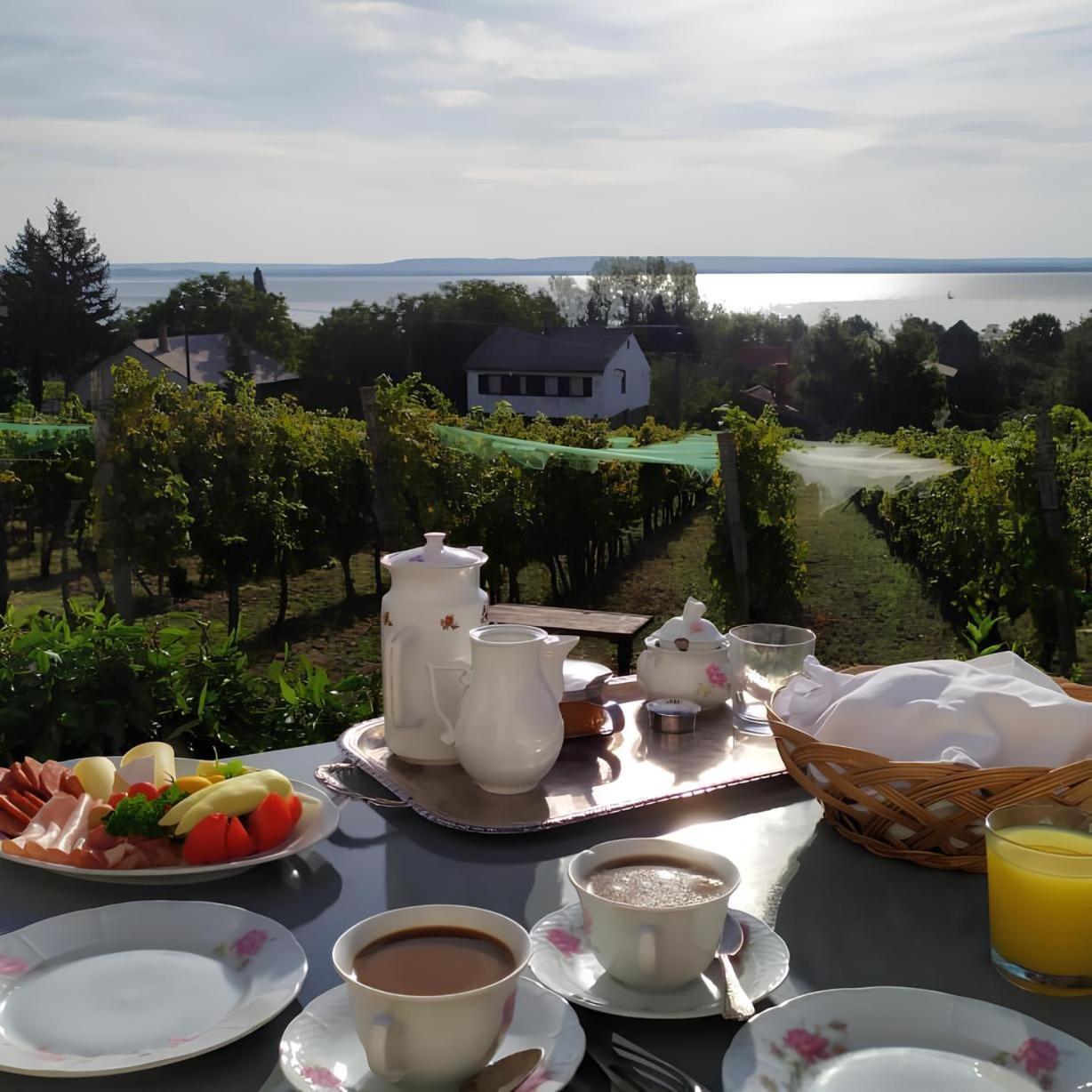 Balatoni Panorama Apartman - Bacchus Badacsony Daire Badacsonytomaj Dış mekan fotoğraf